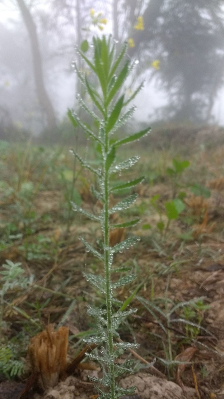 growing with due