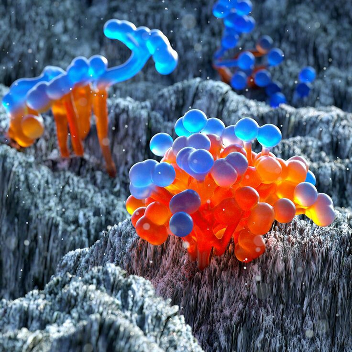 micro