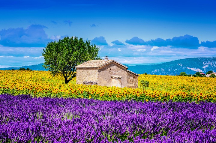 provence
