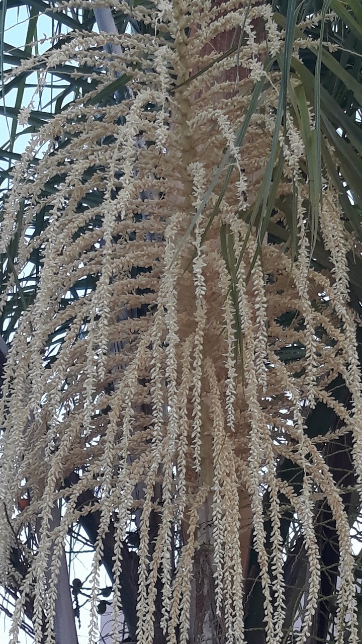 naturaleza