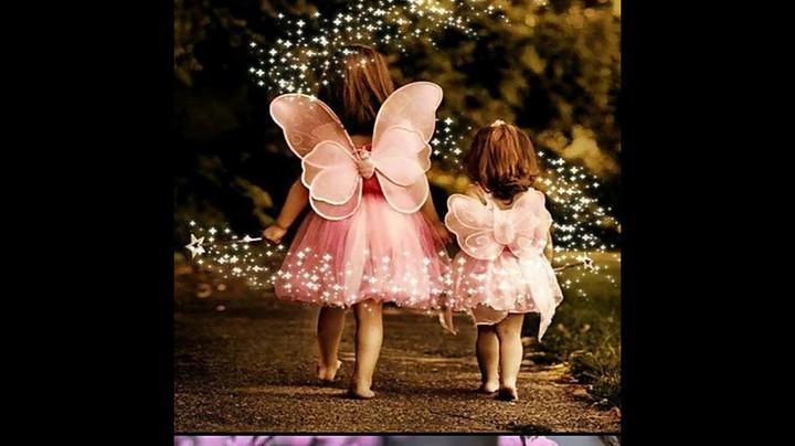 fairy