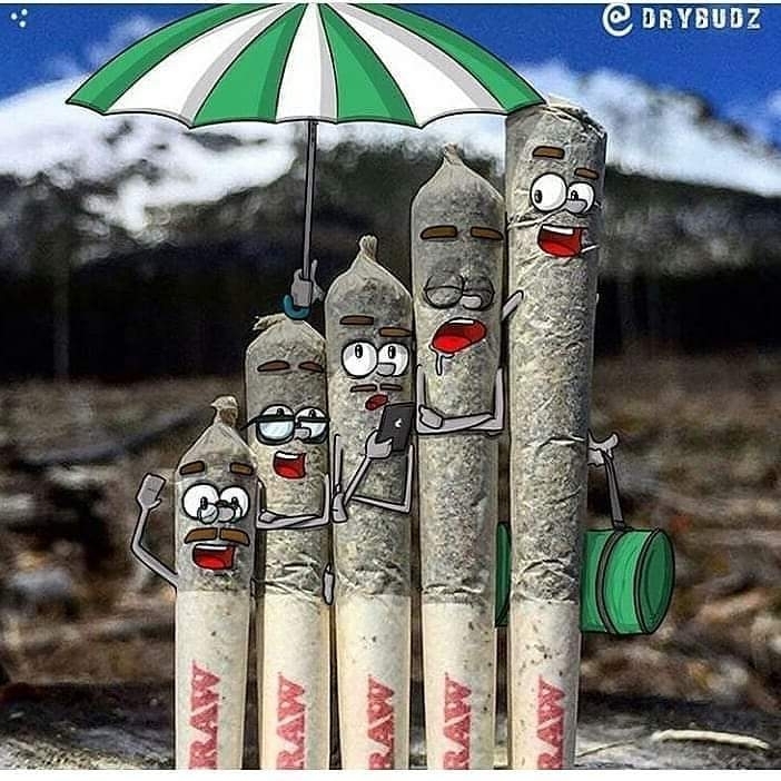 weed