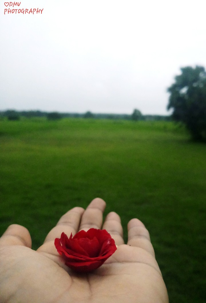 nature love