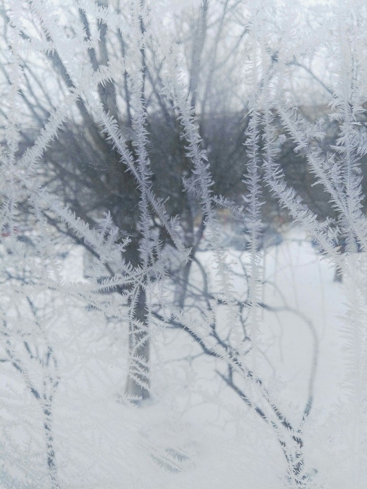 snow