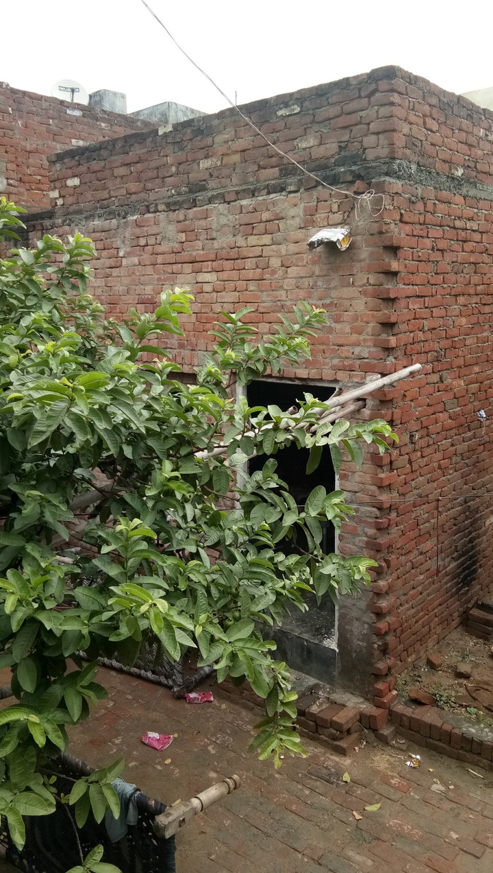 my home