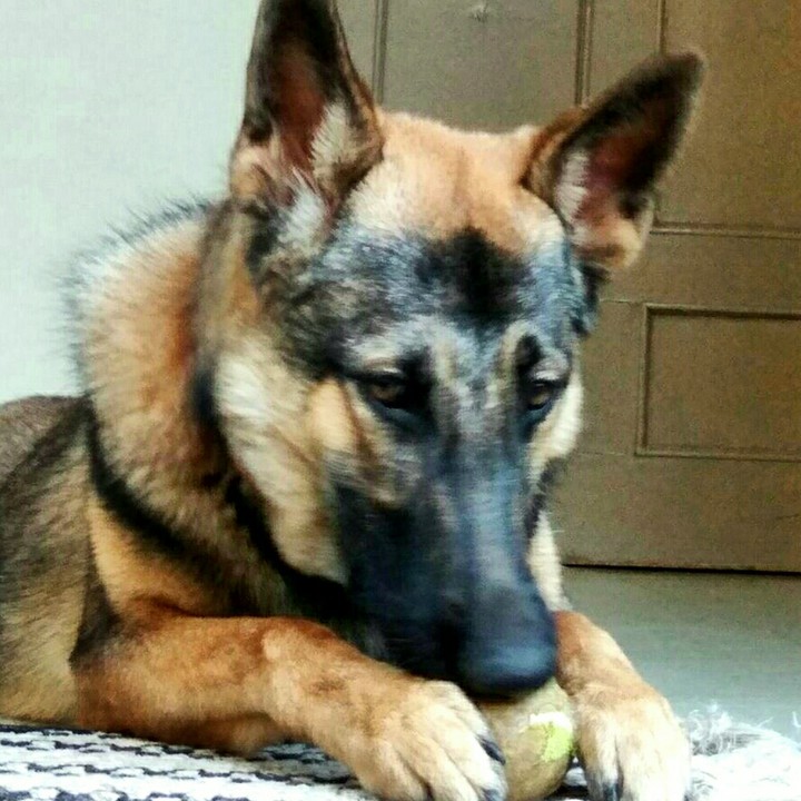 Kaiser