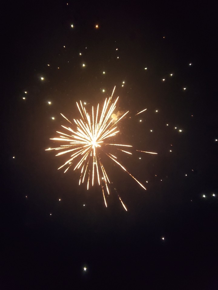 fireworks 1