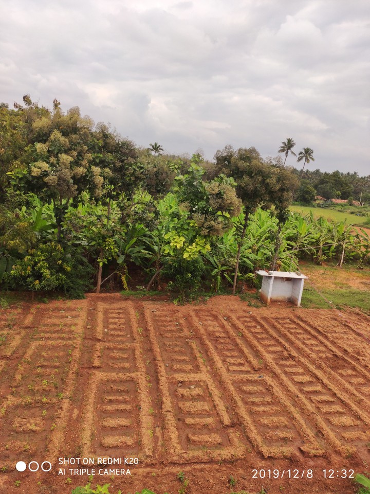fields
