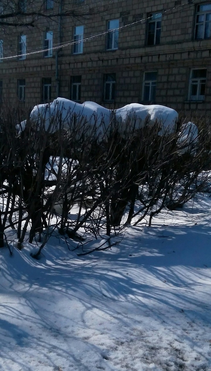 Снежные шапки