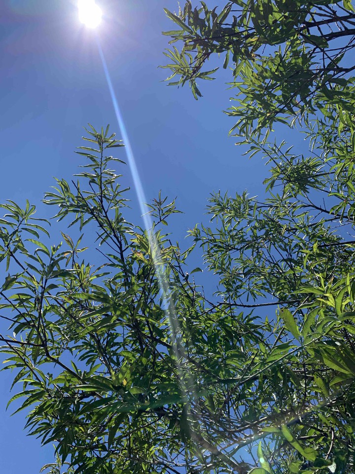 我在南橫天氣晴