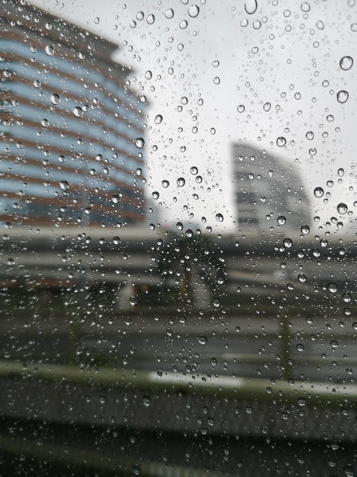tbml hong kong trip