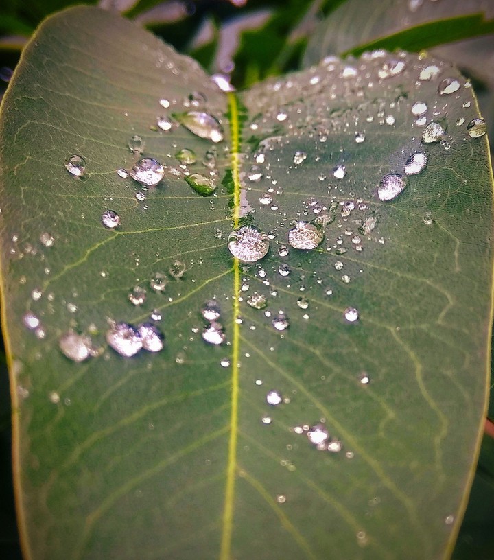 #nature # love