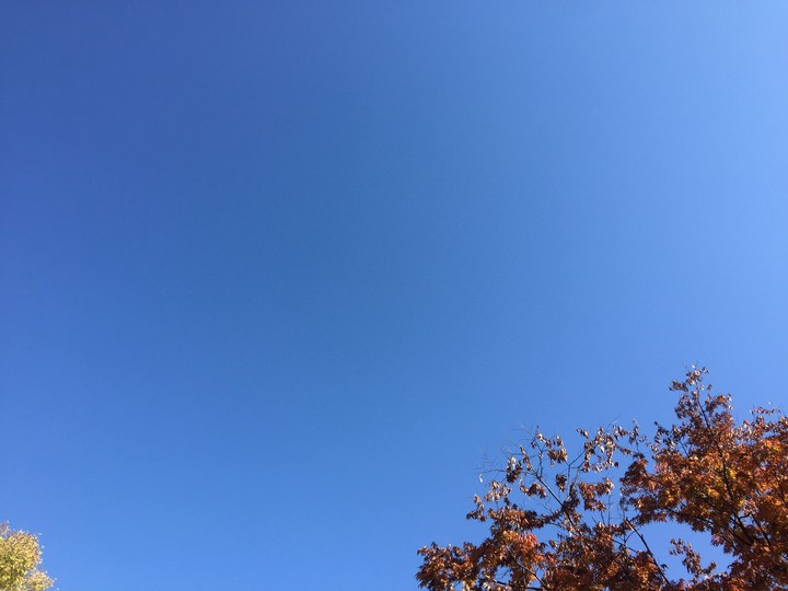 blue