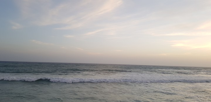 see