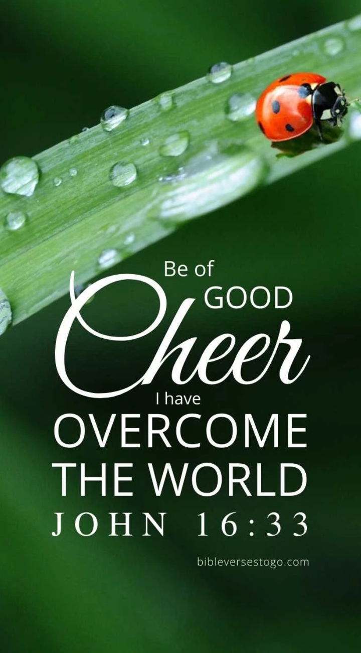 be of good cheer