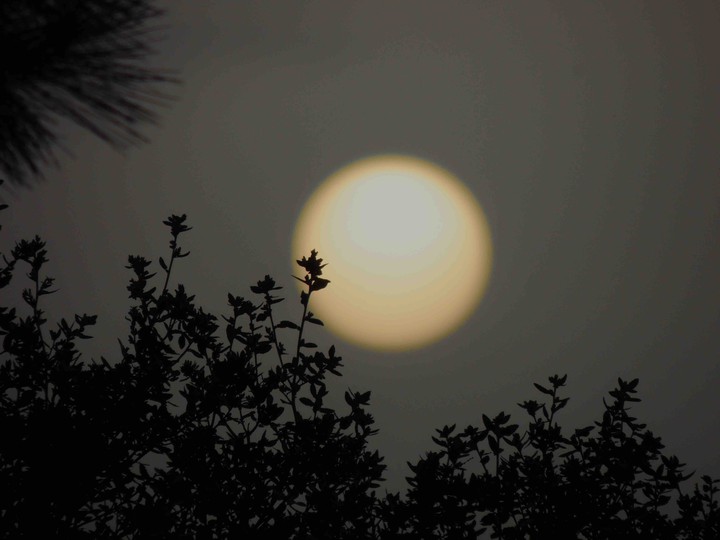 Dark sunset
