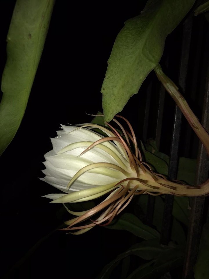 my click ..