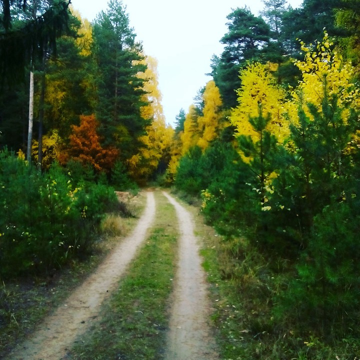 autumn
