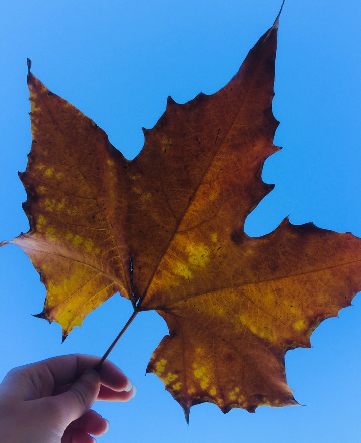 autunno