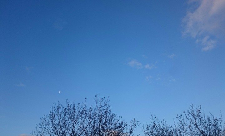 morning moon