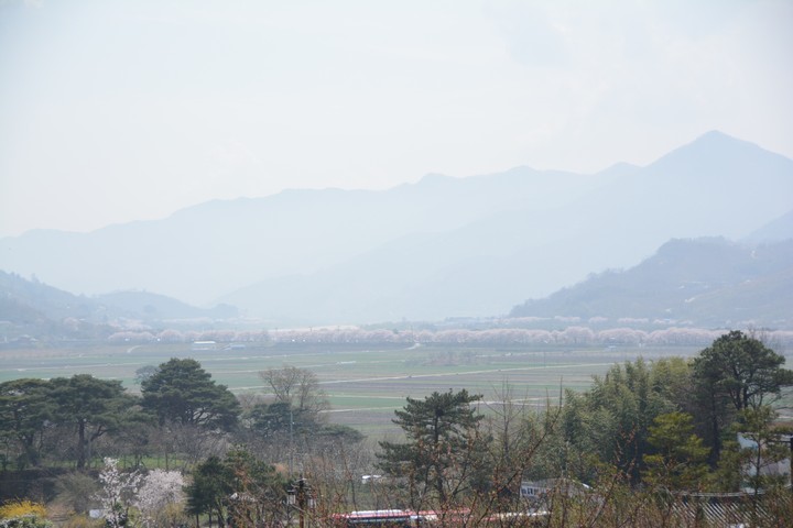 하동이미지