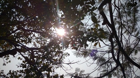 Sunlight