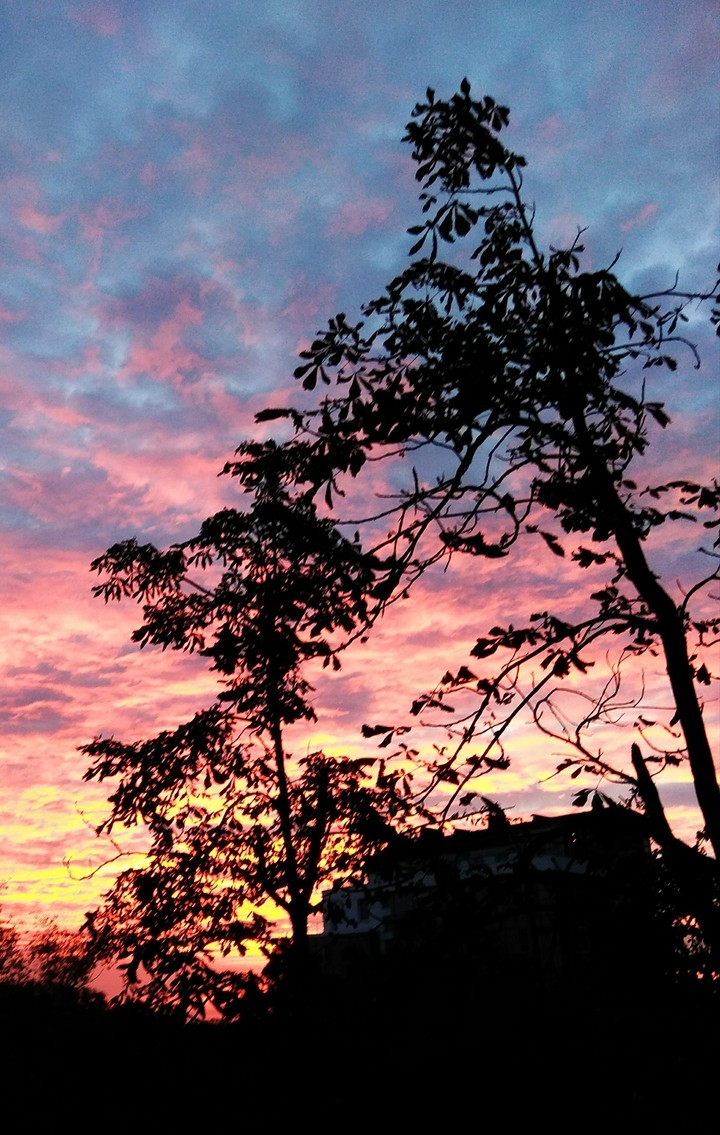 sunrise 