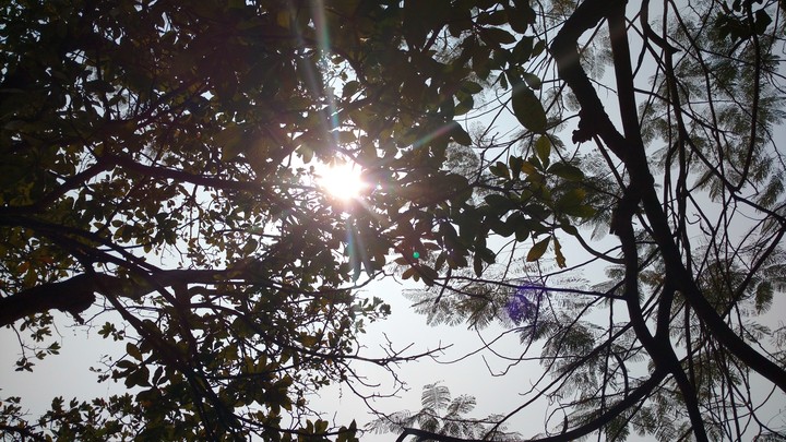 Sunlight 