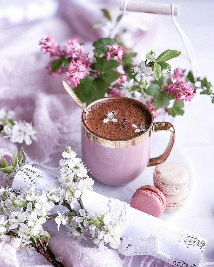 Stilllife