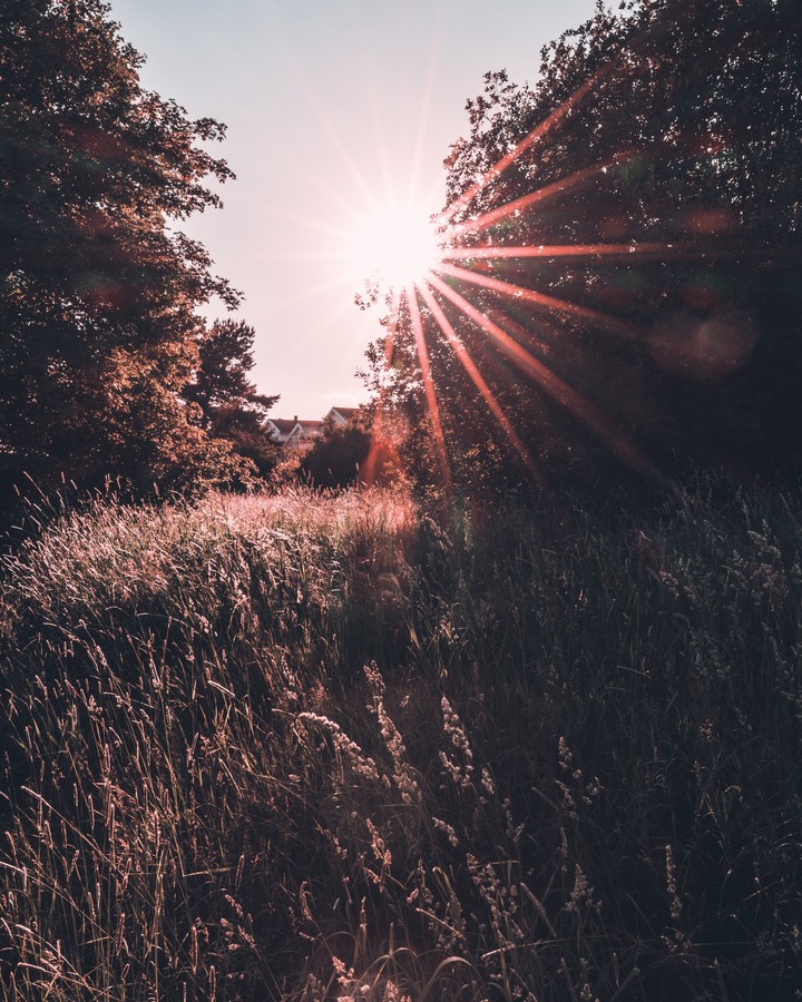 Power of the sun