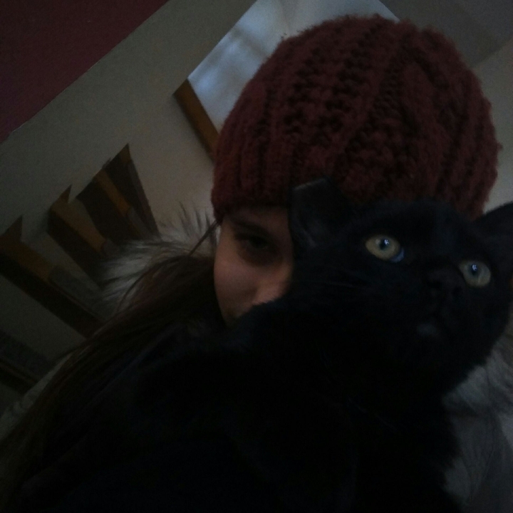 katze