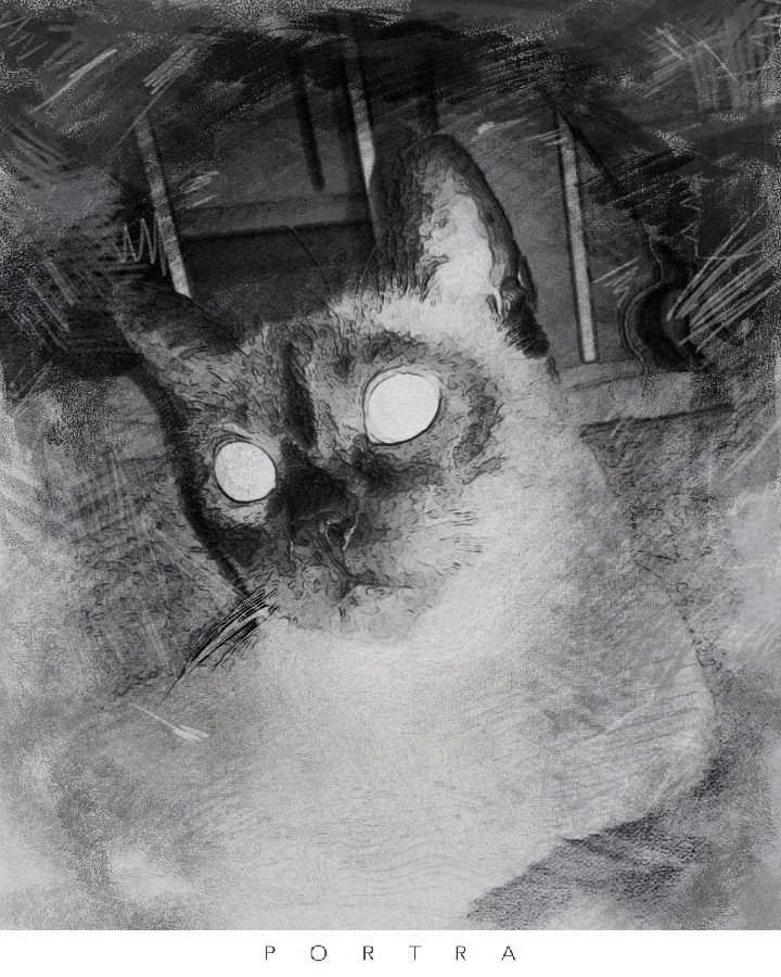 Ghost cat Medeia