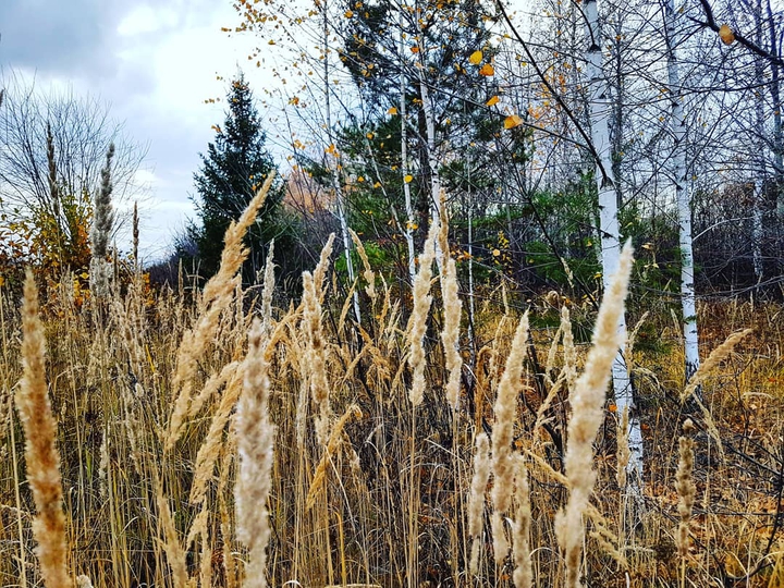 Осень