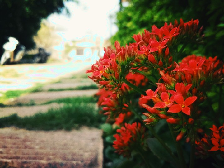 natural beauty
