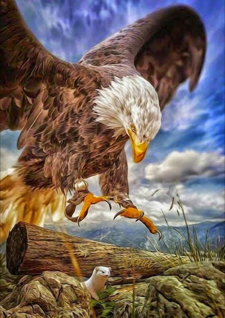 Eagle