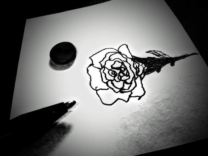 Draw