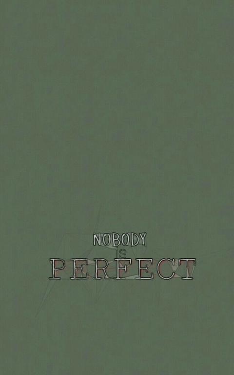 Nobody Is Perfect