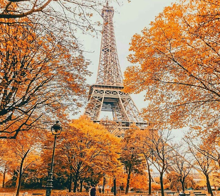 Eiffel Tower