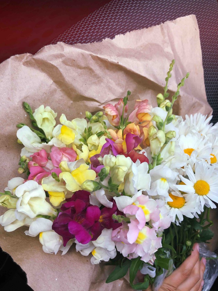 flowers