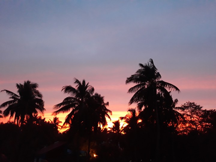 Purple sky