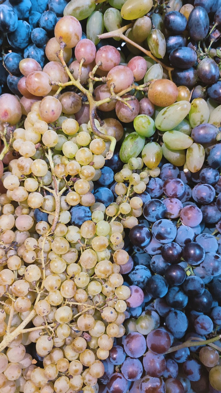 grape