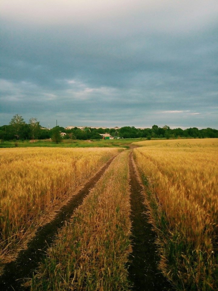Дорога