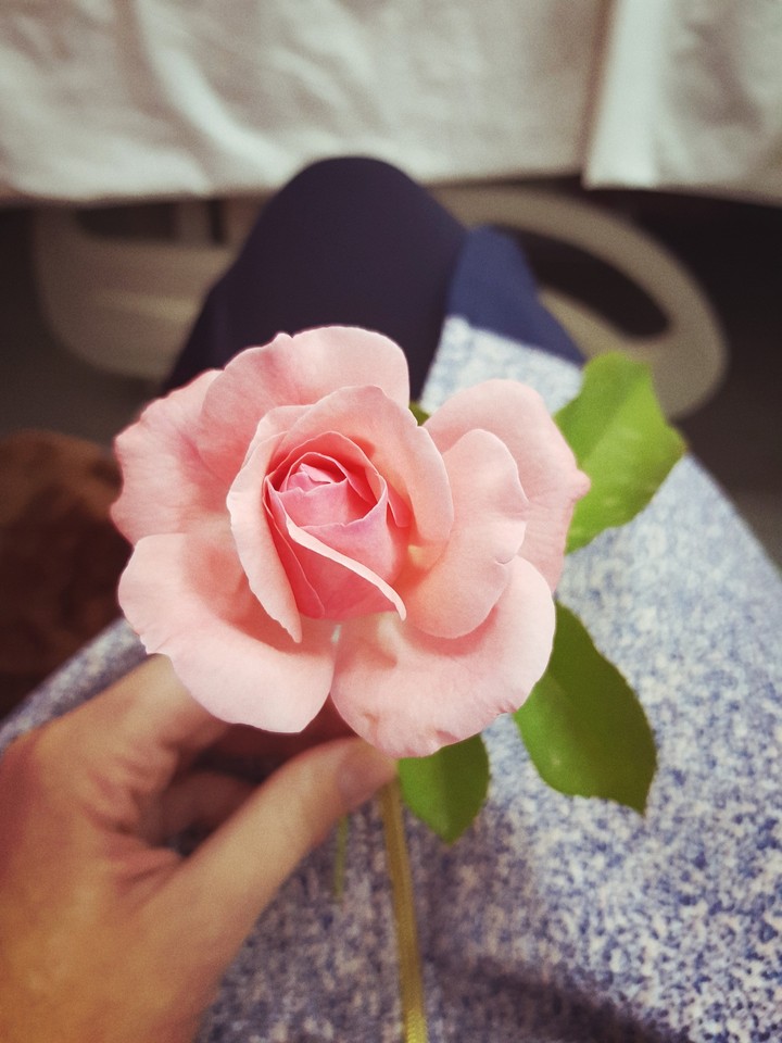 rose in hospital