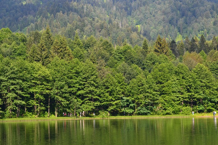 Doğa