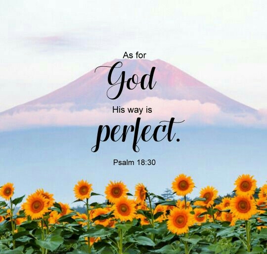 Psalm 18:30