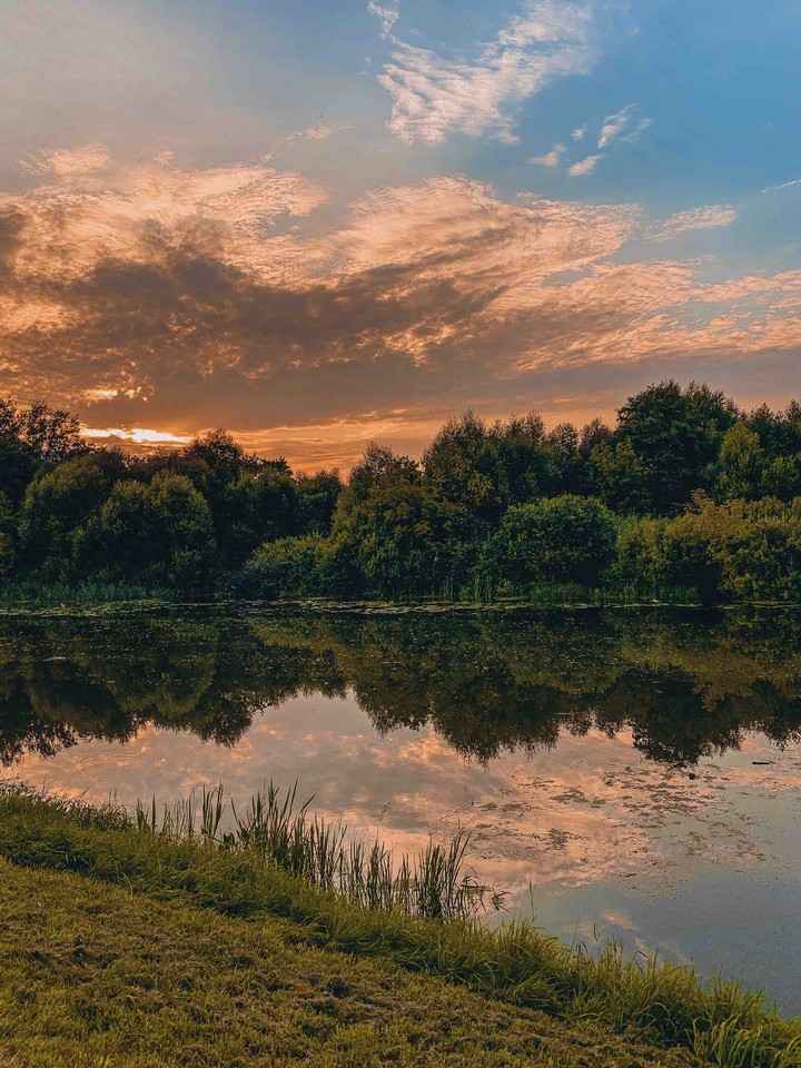 sunset lights