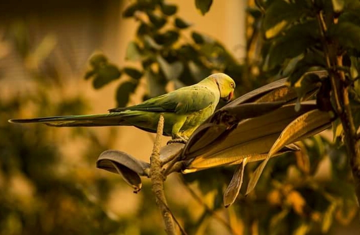 #wildphotograpy#naturelover#photography.