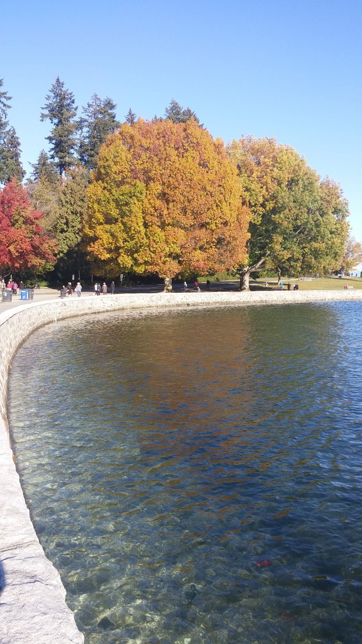 Fall colors