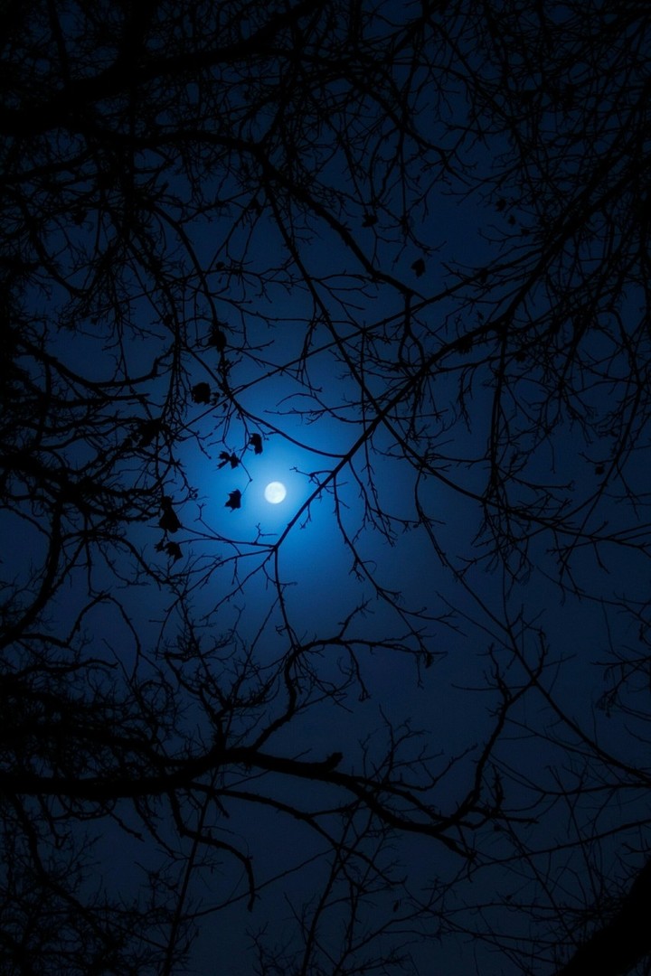 darkness