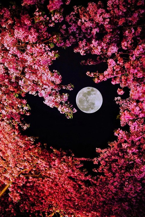 moon